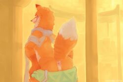 anthro anus anus_only ass bottomwear bottomwear_down canid canine clothed clothing detailed detailed_anus detailed_background detailed_fur dipstick_ears dipstick_tail ear_markings fluffy forgottenscales fox fur gloves_(marking) hi_res leon_claus_the_fox looking_at_viewer looking_back low_contrast male male_anthro mammal markings multicolored_ears open_mouth open_smile orange_body orange_fur pants pants_down partially_clothed presenting presenting_hindquarters raised_tail red_fox shaded smile solo tail tail_markings teeth true_fox yellow_eyes
