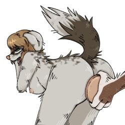 1:1 ahe_gao anal anal_sex anthro ass blonde_hair border_collie breasts brown_body brown_fur buttplug buttplug_insertion canid canine canis collie domestic_dog duo eldridge_moran female female_penetrated fur hair herding_dog hi_res looking_pleasured male male/female mammal marta_moran nipples nude pastoral_dog penetration plug_(sex_toy) plug_insertion sex_toy sex_toy_insertion sheepdog simple_background standing tail tongue unknown_artist white_body white_fur
