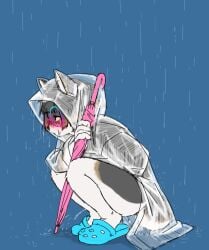 2023 anthro blush bodily_fluids bottomless bottomless_anthro bottomless_female canid canine canis clothed clothing coat crocs crouching digital_drawing_(artwork) digital_media_(artwork) domestic_dog eyewear female female_peeing flat_colors footwear full-length_portrait fur genital_fluids glasses haganedon hair half-closed_eyes hi_res holding_object holding_umbrella mammal multicolored_body multicolored_fur narrowed_eyes peeing portrait raincoat raincoat_only raining short_tail side_view simple_background solo tail topwear translucent translucent_clothing umbrella urine urine_stream watersports wearing_glasses
