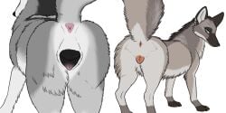 2025 2:1 alpha_channel animal_genitalia animal_vulva anus canid canine canine_vulva canis duo female feral fox genitals hi_res independence mammal nematious_(character) paper-wings presenting_vulva wolf