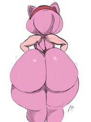 amy rose from sega by pizzasnap