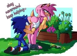 abstract_background amy_rose anthro balls barefoot bent_over big_breasts blush breasts clothing cunnilingus duo english_text erection eulipotyphlan feet female flower fur genitals gloves grass green_eyes handwear hanging_breasts hedgehog hi_res kneeling male male/female mammal oral penis pink_body pink_fur plant pussy sega sex shumpy signature sonic_(series) sonic_the_hedgehog sonic_the_hedgehog_(series) spread_vulva spreading tail text toes vaginal_penetration vulva