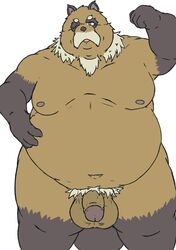 2021 anthro balls belly brown_body brown_fur canid canine flaccid fur genitals hi_res humanoid_genitalia humanoid_hands humanoid_penis kemono magatsuhinokami male mammal mature_male moobs navel nipples overweight overweight_male penis raccoon_dog simple_background solo tanuki white_background