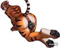 1futa ass ass cock furry futanari kung_fu_panda orange_fur tiger_ears tiger_girl tiger_tail tigress_(kung_fu_panda)