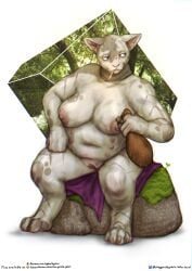 2025 absurd_res anthro areola belly_nipples biped blue_eyes breasts cigarette cigarette_in_mouth digital_media_(artwork) domestic_cat dungeons_and_dragons felid feline felis female female_anthro genitals hairless hairless_cat hasbro hi_res mammal mottled mottled_body mottled_skin nipples nori_storr_kottr nude nude_anthro nude_female object_in_mouth overweight overweight_anthro overweight_female paws pink_areola pink_nipples pink_nose pink_vulva rock sitting solo sphynx_(cat) tabaxi the_gentle_giant vulva white_body white_skin wizards_of_the_coast