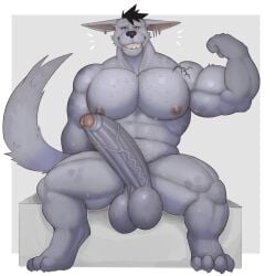 anthro balls bara barazoku big_balls big_penis boner erection fleshformomo flexing furry huge_cock male male_only momo_(fleshformomo) muscles muscular nude penis sitting solo solo_male sweat sweating
