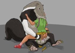 ambiguous_penetration animal_genitalia anteater balls black_body black_fur blood bodily_fluids bottomless bottomless_female bottomless_human breasts brown_eyes claws clothed clothing cum cum_inside duo erection female female_human female_penetrated female_prey feral feral_penetrating feral_penetrating_human feral_pred forced fur genital_fluids genitals green_clothing green_shirt green_topwear grey_body grey_fur head_in_mouth hi_res human human_on_feral human_penetrated human_prey interspecies male male/female male_feral male_penetrating male_penetrating_female male_pred mammal oral_vore partially_inside penetration penile penile_penetration penis pilosan rape rudy_(strega) scratches semi-anthro sex sheath shirt strega topwear torn_clothing vore white_body white_fur xenarthran zoophilia