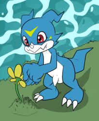 anthro balls bandai_namco blue_body claws darkajugin digimon digimon_(species) flaccid flower foreskin genitals grass hi_res looking_down male markings multicolored_body penis plant red_eyes solo two_tone_body veemon water yellow_markings