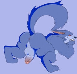 1boy anthro anus ass ass_up back_muscles balls bedroom_eyes biceps big_balls big_butt big_penis blue_body blue_fur boner canid canine erection fleshformomo fur genitals hi_res league_of_legends long_ears looking_at_viewer male male_only mammal muscular muscular_anthro muscular_male narrowed_eyes nude penis perineum presenting presenting_anus presenting_hindquarters raised_tail riot_games seductive sharp_teeth simple_background smile smooth_skin solo teeth thick_penis video_games warwick were werecanid werecanine werewolf