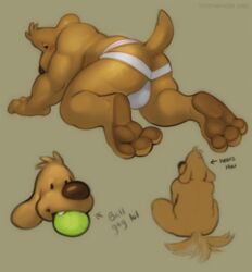 ball canid canine clothing conditional_dnp hi_res jockstrap male male_focus male_only mammal overweight sam_and_max samuel_dog solo tojo_the_thief underwear