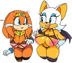 2girls anthro areolae bat big_breasts bikini breasts busty cassettedream chiropteran echidna female female_only hand_on_hip hoshime huge_breasts large_breasts leopard_print looking_at_each_other nipples rouge_the_bat sonic_(series) sonic_the_hedgehog_(series) stockings swimsuit thick_thighs thumbs_up tikal_the_echidna wide_hips wings