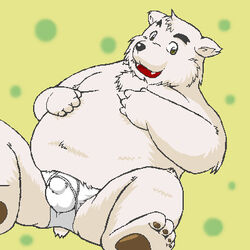 1:1 anthro balls_outline belly black_nose bulge clothing cute_fangs fur genital_outline kemono kiyo low_res lying male mammal overweight overweight_male penis_outline solo underwear ursid white_body white_fur young