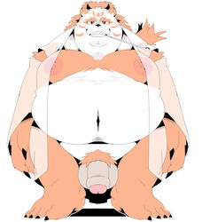 2021 absurd_res anthro balls belly genitals giant_panda hi_res kemono male mammal moobs navel nipples overweight overweight_male penis sigenoya simple_background solo takotyutyu ursid white_background