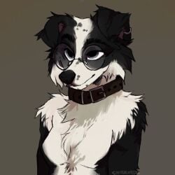 border_collie exposed_breasts exposed_torso furry_breasts furry_female tits_out