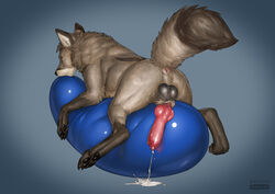 2021 anatomically_correct anatomically_correct_genitalia anatomically_correct_penis animal_genitalia animal_penis anus ass balloon balls black_pawpads blue_background bodily_fluids brown_body brown_fur canid canine canine_penis canis claws cum cum_on_ground cum_splatter cumshot deusexmoose digitigrade dipstick_tail ejaculation erection feral finger_claws fur genital_fluids genitals gloves_(marking) head_tuft inflatable inner_ear_fluff knot leg_markings male mammal markings multicolored_tail pawpads penis quadruped raised_tail rear_view shaded simple_background socks_(marking) solo toe_claws tuft wolf