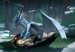 dragon fan_character female female_penetrated feral feral_on_feral feral_penetrated feral_penetrating feral_penetrating_feral forest genitals grass group icewing_(wof) lying male male/female male_penetrating male_penetrating_female membrane_(anatomy) membranous_wings on_back penetration plant pussy rule_63 sandwing_(wof) scalie sex shido-tara snow tree vaginal_penetration vaginal_penetration wings wings_of_fire winter_(wof)