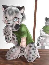 3:4 absurd_res anthro anus ass balls bite black_pawpads blue_eyes blush bottomless_male claws clothing ekosho felid finger_claws fur fur_growth genitals green_clothing green_shirt green_topwear grey_body grey_fur growth hair hi_res human human_to_anthro inner_ear_fluff kemono kneeling male mammal mid_transformation mirror pantherine pawpads shaded shirt short_sleeves snow_leopard solo species_transformation spots spotted_body spotted_fur tail_bite tail_in_mouth toe_claws topwear transformation tuft white_hair wood_floor