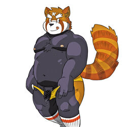 1:1 2015 ailurid anthro belly black_body black_nose clothing genitals kemono male mammal moobs nipples one_eye_closed overweight overweight_male penis red_panda shiba-kenta simple_background solo tongue tongue_out underwear white_background wink