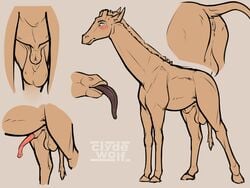 4:3 absurd_res animal_genitalia animal_penis anus ass balls clyde_wolf digital_media_(artwork) erection feral genitals giraffe giraffid hair hi_res horn male mammal nude penis sheath simple_background solo tongue