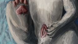 16:9 2021 4k absurd_res blue_sky_studios bodily_fluids claws cum cum_in_pussy cum_inside digitigrade fangs felid female feral fur furry genital_fluids genitals grey_body grey_fur hi_res ice_age_(series) ice_age_continental_drift jarethdd lying machairodontine mammal on_back on_ground pawpads paws pink_pawpads presenting presenting_pussy pussy sabertooth_(anatomy) shira_(ice_age) solo spread_pussy spreading wallpaper widescreen