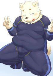 2015 anthro balls_outline belly blush bulge canid canine canis clothed clothing domestic_dog erection erection_under_clothing gattatta genital_outline hi_res humanoid_hands kemono male mammal overweight overweight_male penis_outline simple_background skinsuit solo tight_clothing tongue tongue_out white_background white_body