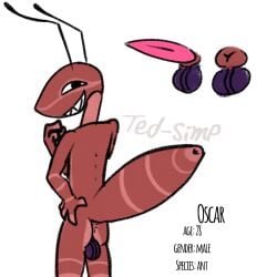 ant antennae_(anatomy) anthro anus arthropod balls dark_balls femboy genitals hi_res hymenopteran insects male oc_sheet oscar_(ted-simp) red_body red_skin smile smirk solo ted-simp