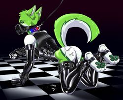 absurd_res anthro ass balls black_nose blush bodily_fluids bondage bound canid canine clothed clothing collar cum cum_on_ground cum_on_self digital_media_(artwork) fidget_the_fox fox franset fur gag gagged genital_fluids genitals green_body green_eyes green_fur green_pawpads hair hi_res leash leather legwear looking_at_viewer male male_only mammal pawpads petplay puppyplay rainbow_collar roleplay simple_background smile solo white_body white_fur