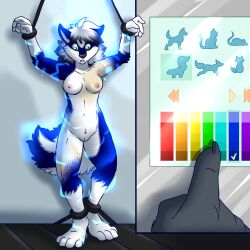 1:1 5_fingers aggrobadger ankles_tied blue_body blue_fur bound breasts female fingers fur genitals human human_to_anthro looking_down mammal mephitid navel nipples pussy skunk solo species_transformation standing surprise transformation wrists_tied