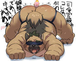 2021 anal anal_sex anthro ass belly blindfold blush bodily_fluids brown_body brown_fur candle canid canine canis domestic_dog drooling fur hi_res humanoid_hands improvised_sex_toy jack-o'_pose japanese_text kemono male mammal overweight overweight_male penetration pose ptcmtr saliva solo text tokyo_afterschool_summoners tongue tongue_out video_games yasuyori