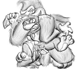 anal anal_sex anthro ape balls banjo-kazooie banjo_(banjo-kazooie) belt belt_buckle bodily_fluids bottomwear clothing cum cum_in_ass cum_inside dominant dominant_male donkey_kong donkey_kong_(series) duo eneirem_(artist) erection fight forced genital_fluids genitals haplorhine hi_res male male/male male_only mammal monochrome necktie nintendo orgasm penetration penis primate rareware shorts submissive submissive_male ursid video_games wrestling