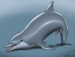 2021 animal_genitalia animal_penis bodily_fluids bottlenose_dolphin cetacean cetacean_penis delphinoid dolorcin erection feral fin genital_fluids genitals jack-o'_pose leaking looking_at_viewer male mammal marine nude oceanic_dolphin penis pose precum solo tapering_penis toothed_whale