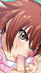 1boy 1girls big_breasts big_penis blowjob blush brown_hair clothed clothed_female fellatio female female_focus grand_blue kotegawa_chisa male medium_hair oral short_hair sucking sucking_penis swimsuit swimsuit_under_clothes