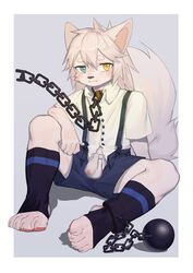 absurd_res ankle_cuffs ball_and_chain balls biped blur_censorship blush bottomwear canid censored chain_leash chains chastity_cage chastity_device clothed clothing collar genitals hair heterochromia hi_res humanoid_genitalia humanoid_penis kemono leash looking_at_viewer male mammal pants pawpads penis shackles shirt simple_background solo submissive submissive_male suspenders topwear toye2004 young