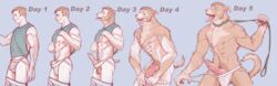 animal_genitalia animal_penis anthro canid canine canine_penis canis collar domestic_dog genitals hi_res human human_to_anthro male mammal multi_nipple nipples penis sequence simple_background solo species_transformation tongue tongue_out transformation vixden