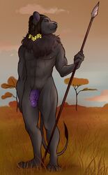 anthro black_body black_fur dreadlocks fake_anna felid fur genitals gold_(metal) gold_jewelry hi_res horus_wild jewelry lion male mammal melee_weapon muscular muscular_anthro nude outside pantherine penile_spines penis polearm purple_penis savanna solo spear weapon