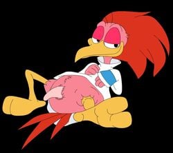 aracuan bird from the three caballeros