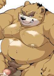 2021 absurd_res anthro balls belly bodily_fluids brown_body censored cum genital_fluids genitals hi_res humanoid_genitalia humanoid_hands humanoid_penis kemono male mammal moobs nipples overweight overweight_male penis sigenoya solo takotyutyu ursid