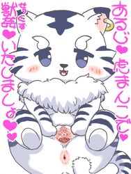 3:4 anus blush cervix diru felid feline female feral fur furry furry_only gaping gaping_pussy genitals heart hi_res japanese_text kohaku looking_at_viewer mammal presenting presenting_pussy pussy simple_background smile solo spread_pussy spreading tail text translated white_background white_body