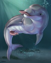 anatomically_correct anatomically_correct_genitalia anatomically_correct_penis animal_genitalia animal_penis bubble cetacean cetacean_penis countershade_torso countershading delphinoid dorsal_fin erection feral fin genital_slit genitals grey_body hi_res male mammal marine open_mouth penis presenting presenting_penis redraptor16 shaded sharp_teeth signature slit solo swimming tail_fin tapering_penis teeth tongue tongue_out toothed_whale underwater water