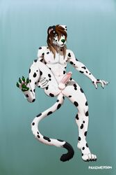 anthro black_body black_fur black_spots bodily_fluids canid canine canis cum cum_on_anus cum_on_face cum_on_feet dalmatian domestic_dog ear_piercing fur genital_fluids hair hi_res long_hair male mammal messy paws paxemerson piercing presenting solo spots spotted_body spotted_fur white_body white_fur