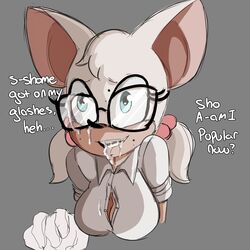 rouge the bat from sega by inuyuru