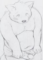 anthro belly blush canid canine canis clothing domestic_dog genitals hi_res humanoid_genitalia humanoid_hands humanoid_penis kemono kita_9999 male mammal navel overweight overweight_male penis solo underwear young