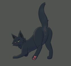 anus brown_background domestic_cat felid feline felis female female_feral feral genitals hi_res hollyleaf_(warriors) mammal presenting presenting_pussy pussy simple_background smile soliloquysol solo warriors_(book_series)