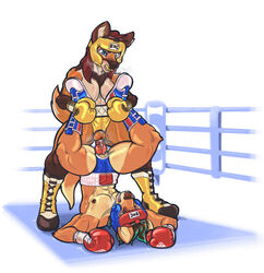 1boy 1girls 2021 abs absurd_res amazon_position amira_winters anthro black_hair blue_boxing_headgear blue_eyes boots boxing boxing_gloves boxing_headgear boxing_ring brown_body brown_eyes brown_fur canid canine canis clothed clothing competition competitive_intercourse coyote crotchless_bottomwear crotchless_clothing dcheese digital_media_(artwork) female footwear fur genitals gloves green_highlights hair handwear headgear hi_res highlights_(coloring) knot koc male male/female mammal maned_wolf mixed_boxing mouthguard muscular muscular_female muscular_male orange_body orange_fur original penis piledriver_position pubes pussy red_boxing_gloves red_gloves red_hair sex sexfight sexual_competition sport story story_in_description topless vidar_(yuviau) yellow_boxing_gloves yellow_boxing_headgear yellow_gloves