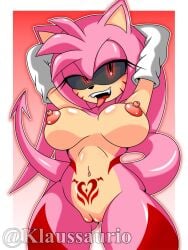 amy_rose klaussaurio tagme