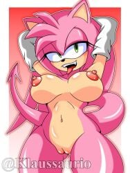 amy_rose klaussaurio tagme