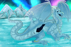 ass aurora_borealis blue_body blue_scales dragon fan_character feral genitals ice icewing_(wof) jewelry knot looking_at_viewer male mountain open_mouth panininha paws penis scales snow solo spread_legs spreading wings_of_fire