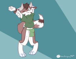 bottomwear buckoguy bulge clothing furry hi_res loincloth male male_only solo solo_male standing