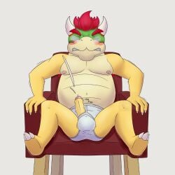 bowser from mario (series)