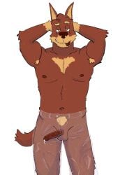 2025 anthro armpit_hair athletic athletic_anthro athletic_male australian_kelpie balls bluey_(series) bodily_fluids body_hair bottomwear brown_body brown_fur brown_penis bulge canid canine canis clothed clothing detailed_bulge devaney domestic_dog dripping erection fur genital_fluids genital_outline genitals hands_behind_head herding_dog hi_res humanoid_genitalia humanoid_penis looking_at_viewer male male_anthro mammal pants pastoral_dog penis penis_outline precum precum_drip pubes rusty's_dad_(bluey) sheepdog simple_background smile solo standing tail tan_body tan_fur teeth tongue tongue_out topless topless_anthro topless_male translucent translucent_clothing white_background